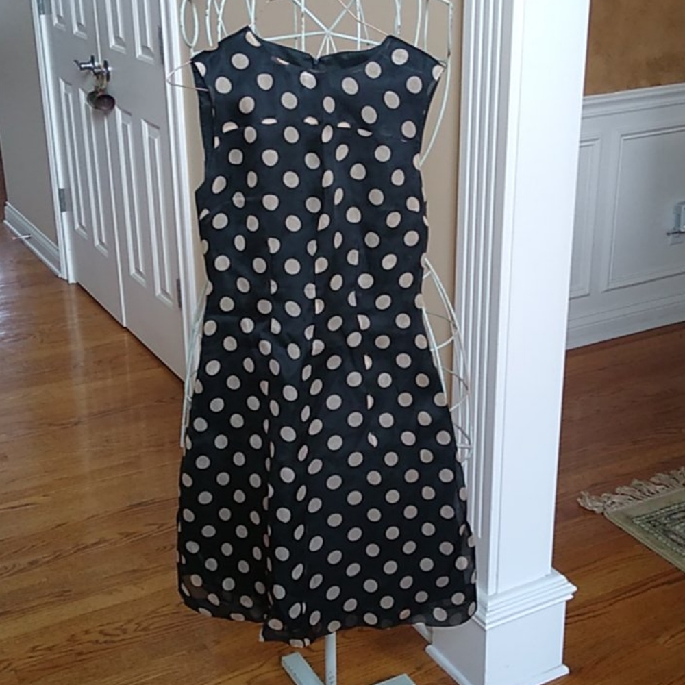 Santa Croce Polkadot 100% Silk Dress